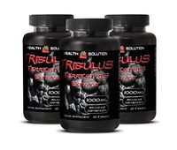 Tribulus Fruit Extract - TRIBULUS TERRESTRIS Extract 1000MG 60 Tablets - Lean Muscle Mass (3 Bottles)