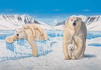 Hi-Look Microfiber Cleaning Cloth - Pola Bear Family