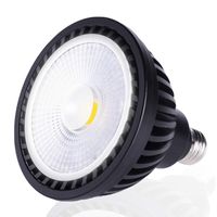 Wiyifada LED Pool Light Bulb 45W 120V 6000K Daylight White LED Swimming Pool Light Bulb E26 Base Replaces Up to 200-600W Traditionnal Bulb - Non Dimmable