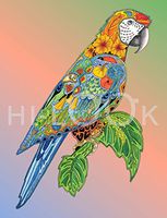 Hi-Look Microfiber Cleaning Cloth - Macaw