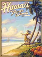 Hi-Look Microfiber Cleaning Cloth - Hawaii Trade Wind
