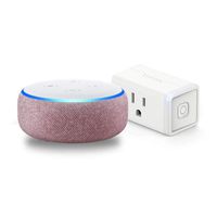 Echo Dot (3rd Gen) Plum Bundle with TP-Link simple set up smart plug