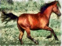 Quarter Horse Sam - Notecards- Set of 6 with Envelopes by Doggylips