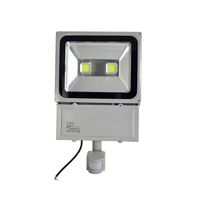 Double Headed Sensor LED Floodlight Waterproof 100W 110V 6000-6500K Cool White 2PCs