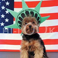 Hi-Look Microfiber Cleaning Cloth, dog design - Liberty Schmitty