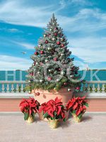 Hi-Look Microfiber Cleaning Cloth - Holiday Bay