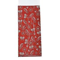 Fun Express, Inc. - Bandana Cellophane Bags, Approx (11 1/2 Inches x 5 Inches) (2-Pack of 12)