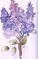 Deborah Thomsen Walker Fine Art Flower Blank Note Cards: 6 Blank Artistic Summer Floral All Occasion Watercolor Cards, with Envelopes - Hyacinth