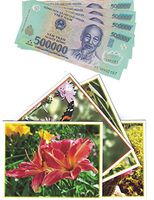 Two Million Vietnamese Dong (4) 500000 - 500K Vietnam Banknote VND For Collectors