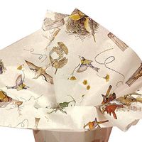 10ct Multi-Colored Bird's Nest on White Tissue Paper for Gift Wrapping 20"x30" Sheets nfLG -852