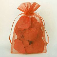 Sheer Organza Pouch Bag, 144-pack (5" x 6.5", Coral)