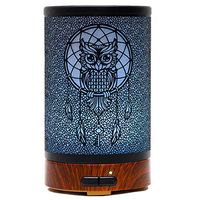 Ultrasonic Cool Mist Aromatherapy Diffuser Atomiser 100ml Metal Aroma Essential Oil Humidifier with Waterless Auto Shut-Off Protection,7 Colors Changed LED for Home Office SPA (Owl)