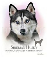Hi-Look Microfiber Cleaning Cloth, dog design - Siberian Husky