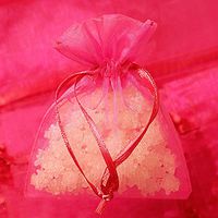 Hot Pink Organza Bags | Quantity: 30 | Width: 3"