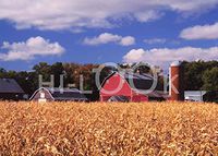 Hi-Look Microfiber Cleaning Cloth - Iowa Cornfield