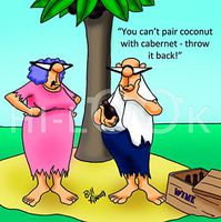 Hi-Look Microfiber Cleaning Cloth - Cabernet Coconut