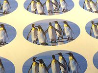Minilabel Pack Of 30 , Penguin Seals , 51X25mm Oval Seal Labels, Stickers For Gift Wrapping, Presents, Envelopes, Bags Or Cards