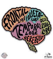 GT Graphics Brain - 5" Vinyl Sticker - for Car Laptop I-Pad - Waterproof Decal