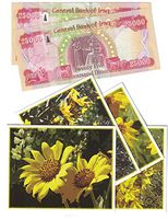 50,000 Uncirculated Iraqi Dinar 25,000 x 2 Iraq Currency 2014 25K New IQD