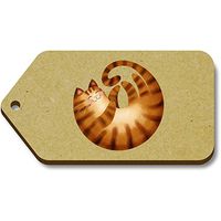 Azeeda 10 x 'Curled Up Ginger Cat' 66mm x 34mm Gift Tags (TG00076771)