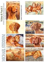 Michael Steddum Vizsla 8 Pack II Note Card Set