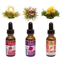 Healthy Gift Set, Cold Pressed Natural Seed Oil 30 ml and Organic Flowering Tea Bloom, Great Gift Idea (Gift Set | Cranberry, Camellia, Carrot Seed Oil)