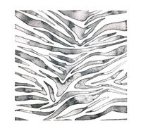 Eightmood 30 Count 3-Ply Paper Dinner Buffet Lunch Napkins, Zeewild