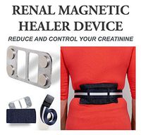 Renal Magnetic Healer Device