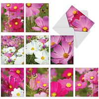 The Best Card Company - 10 Flower All Occasion Blank Cards (4 x 5.12 Inch) - Boxed Cards with Envelopes - Cosmos-Politan M6029