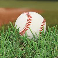 Creative Converting 657963 Sports Fanatic 2 Ply Beverage Napkins 216 Counts