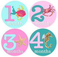 Mumsy Goose Baby Girl Monthly Stickers 1-12 Months