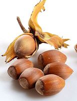 Hazelnut Oil - 100% Pure and Organic 16 Oz - Also known as cobnut or filbert nut oil - Great oil for oily skin