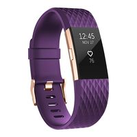 UMAXGET Compatible with Fitbit Charge 2 Bands, Soft Silicone Sport Adjustable Wristband Special Edition with Rose Gold Buckle for Men Women, Large