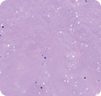 Jillson Roberts Bulk 20 x 30 Inches Gemstone Tissue Available in 11 Colors, Lavender, 200 Unfolded Sheets (BGS04)