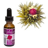 Healthy Gift Set, Cold Pressed Natural Seed Oil 30 ml and Organic Flowering Tea Bloom, Great Gift Idea (Camellia Seed Oil)