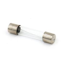 Baomain Fast Blow Glass Fuse Tube 6x30mm 2A 250V 2Amp 20 Pack