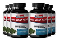 Natural Energy and Digestion Support from Klamath Lake - Blue Green Algae 500mg (6 Bottles 360 Capsules)