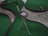 Sport Seat Combo Walking Stick & Seat Great Gift Black