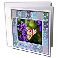 3dRose Skipper Butterfly Happy Birthday Greeting Cards, 6 x 6 Inches, Set of 6 (gc_27373_1)