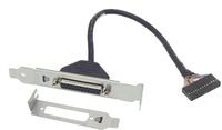 HP Parallel Port with LP and Standard Bracket 611900-001