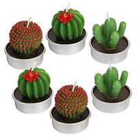 AMASKY Handmade Delicate Succulent Cactus Candles for Birthday Party Wedding Spa Home Decoration.