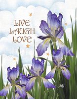 Hi-Look Microfiber Cleaning Cloth - Live Laugh Love