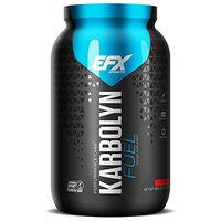 EFX Sports Karbolyn Fuel | Pre, Intra, Post Workout Carbohydrate Supplement Powder | Carb Load, Energize, Improve & Recover Faster | Easy to Mix | Fruit Punch (4 LB 4.8 OZ)