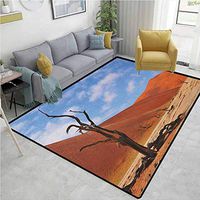 Nature Polka Dot Anti-Skid Rugs, A Lonely Tree Skeleton at Deadvlei Namibia Sandy Desert Landscape Picture, Durable Carpet Area rug - Living Dinning Room Bedroom Rugs and Carpets(2'x 3') Brown Blue