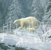 Hi-Look Microfiber Cleaning Cloth - Arctic Arrival