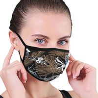 Mouth Masks for Dust Protection Anti Face Mask Washable Earloop Mask Blue Butterfly
