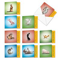 The Best Card Company - 10 Blank Yoga Note Cards Bulk (4 x 5.12 Inch) - Assorted Stick Figure and Animals Cards - Barnyard Yoga MQ4065OCB-B1x10