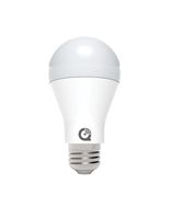 IQ Lightbulb