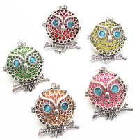 Dandan DIY 5pcs Owl Bird Brass Hollow Cage Locket Perfume Essential Oil Aromatherapy Diffuser Charms Owl Hollow Pendant Craft Diffusion Ball (Owl-1)