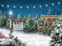 Hi-Look Microfiber Cleaning Cloth - Tis The Season